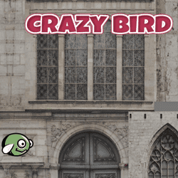 CrazyBird